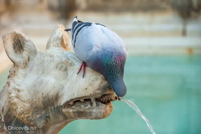 Siena - Dolcevita.no