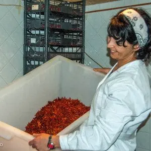 Chili - Peperita - Dolcevita.no