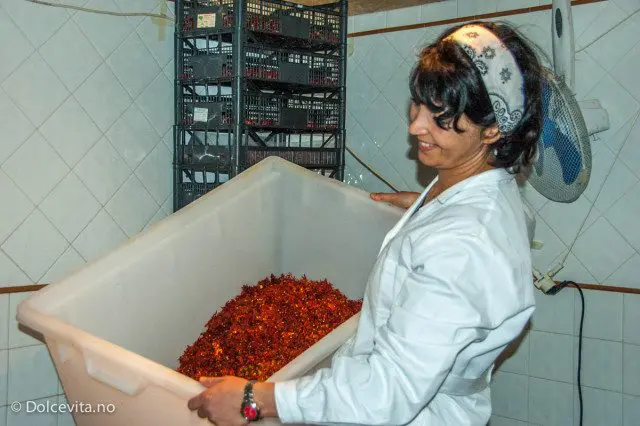 Chili - Peperita - Dolcevita.no