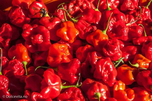 Chili - Peperita - Dolcevita.no