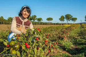 Chili - Peperita - Dolcevita.no