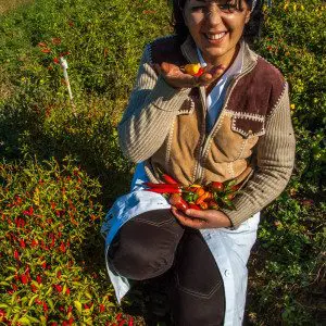 Chili - Peperita - Dolcevita.no