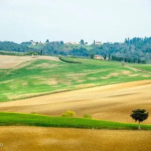 Siena - Dolcevita.no