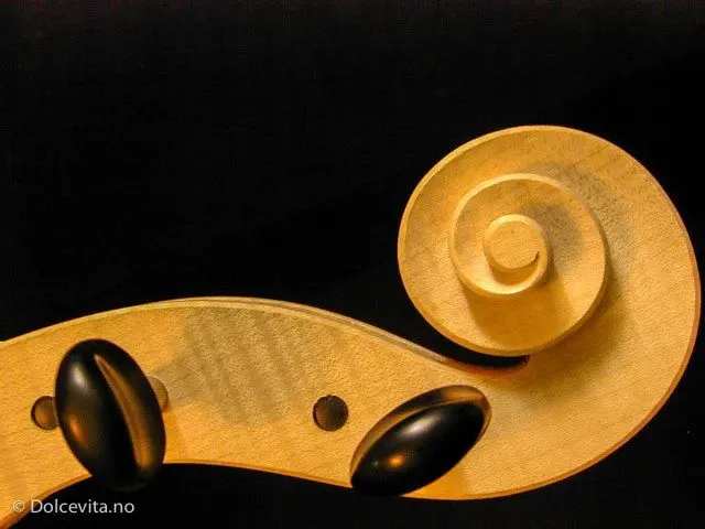 Antonio stradivari,cello,fiolin,fiolinmaker,cremona,Stradivaris