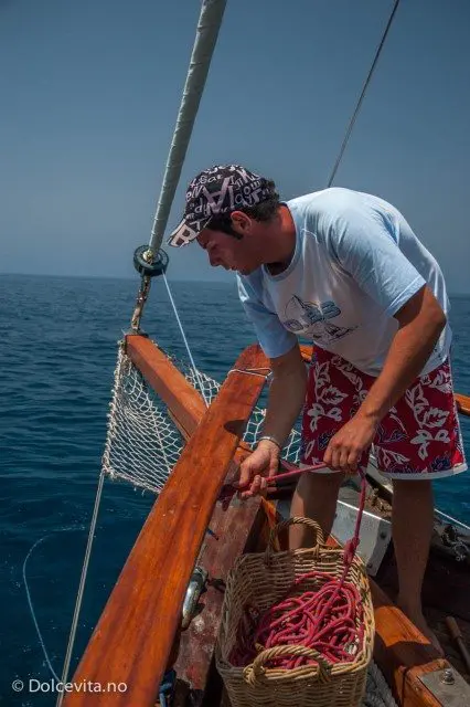 Aquafredda - Dolcevita.no