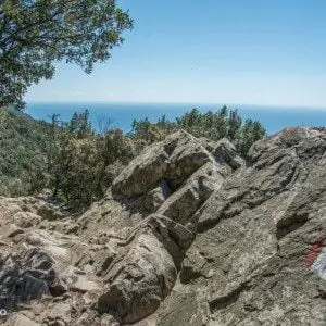 sti mellom stener og trær