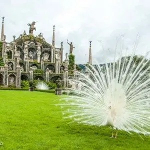 Lago Maggiore - Isola Bella - Dolcevita.no
