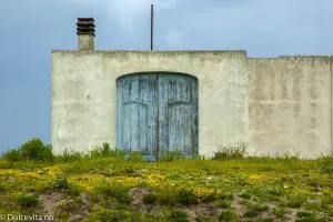 Blå dør i eldre hus med grønt jorde