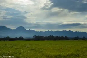 Grønn eng med fjellkjede i bakgrunn