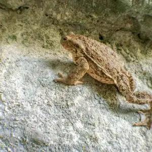 Via Ferrata 1 - Dolcevita.no